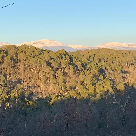 Piedmont En Provence